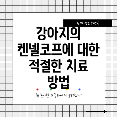 강아지의 켄넬코프에 대한 적절한 치료 방법