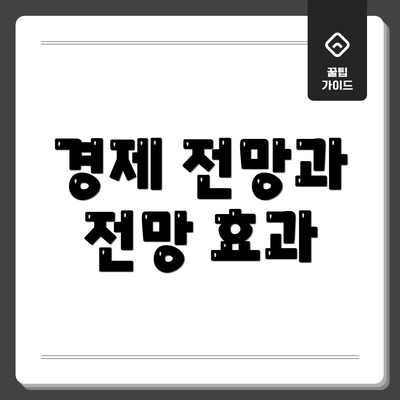 경제 전망과 전망 효과