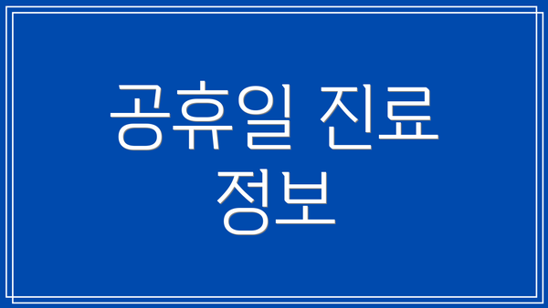 공휴일 진료 정보