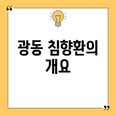 광동 침향환의 개요