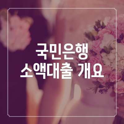 국민은행 소액대출 개요