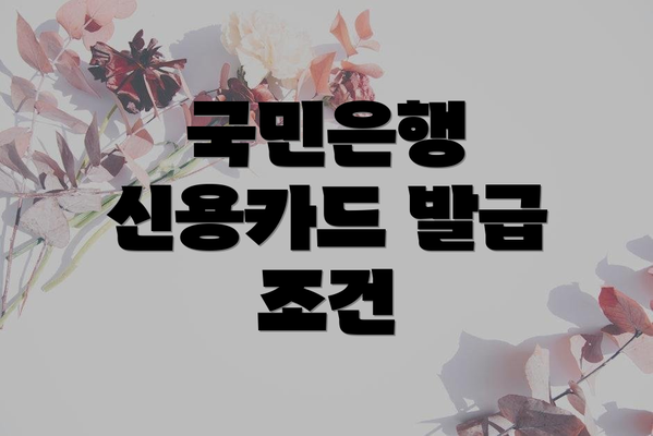 국민은행 신용카드 발급 조건