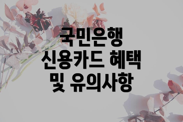 국민은행 신용카드 혜택 및 유의사항