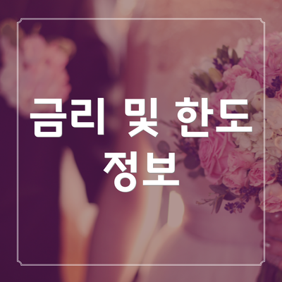 금리 및 한도 정보