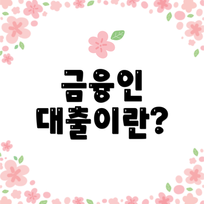 금융인 대출이란?