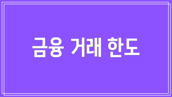 금융 거래 한도