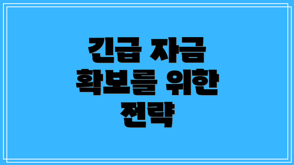 긴급 자금 확보를 위한 전략