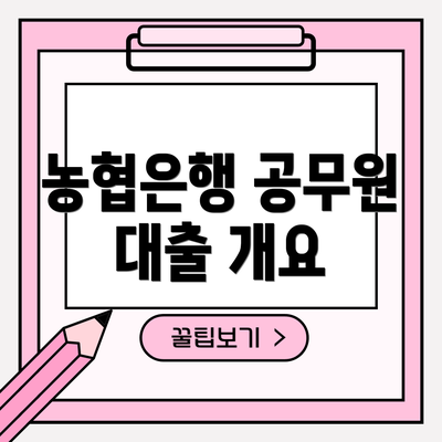 농협은행 공무원 대출 개요