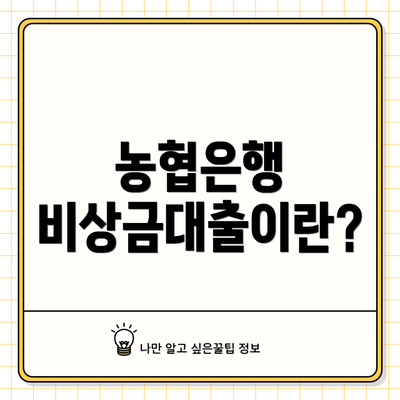 농협은행 비상금대출이란?