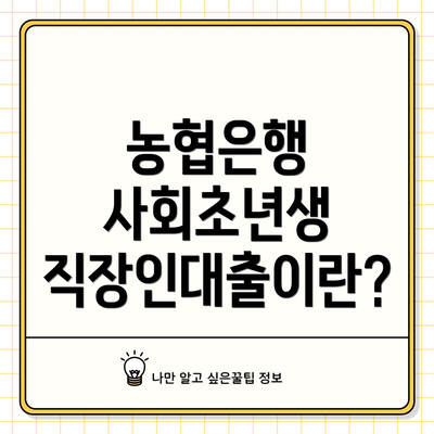 농협은행 사회초년생 직장인대출이란?