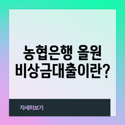 농협은행 올원 비상금대출이란?