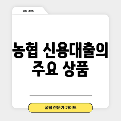 농협 신용대출의 주요 상품