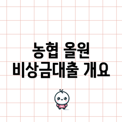 농협 올원 비상금대출 개요