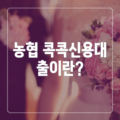 농협 콕콕신용대출이란?