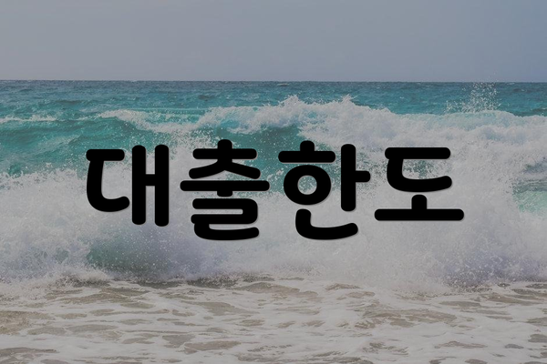 대출한도