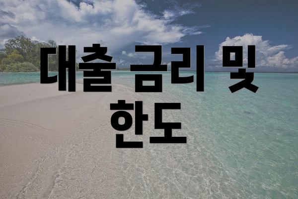 대출 금리 및 한도