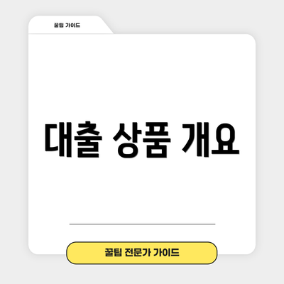 대출 상품 개요