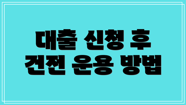 대출 신청 후 건전 운용 방법