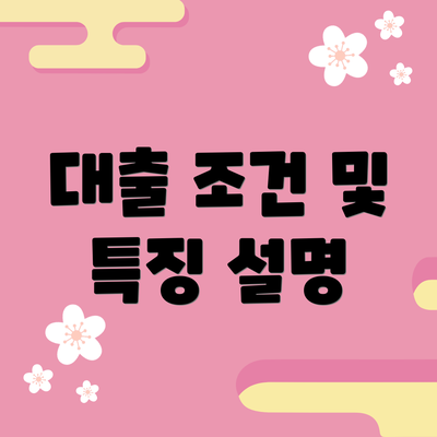 대출 조건 및 특징 설명