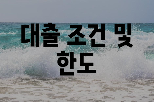 대출 조건 및 한도