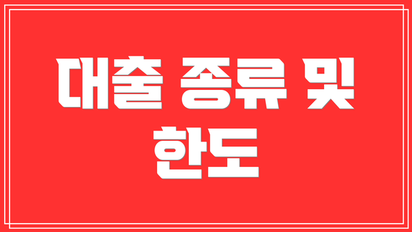 대출 종류 및 한도