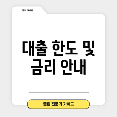 대출 한도 및 금리 안내