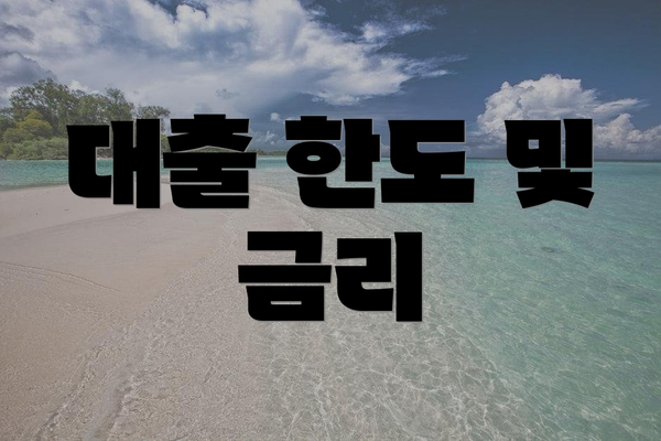 대출 한도 및 금리