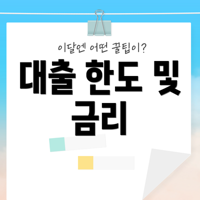 대출 한도 및 금리