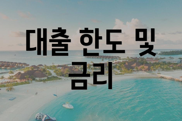 대출 한도 및 금리