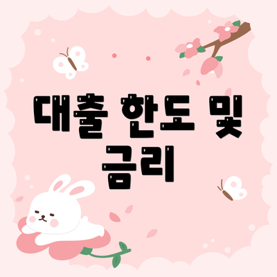 대출 한도 및 금리