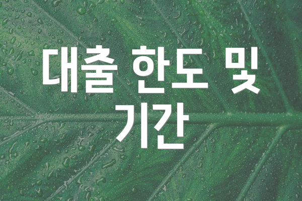 대출 한도 및 기간