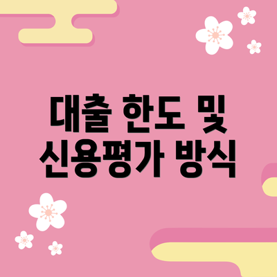 대출 한도 및 신용평가 방식