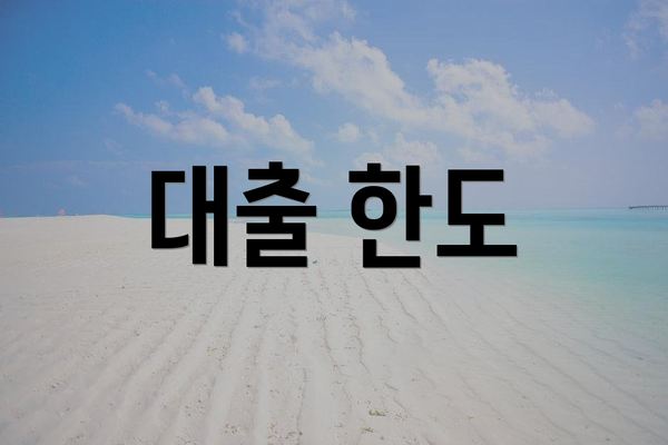 대출 한도
