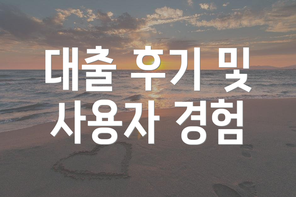 대출 후기 및 사용자 경험