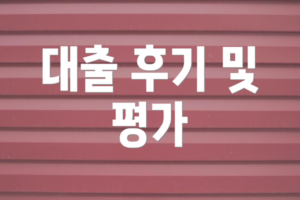 대출 후기 및 평가