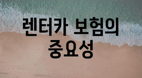 렌터카 보험의 중요성