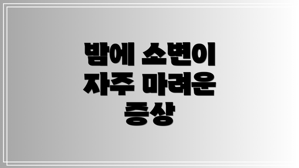 밤에 소변이 자주 마려운 증상