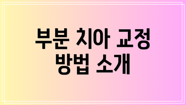 부분 치아 교정 방법 소개