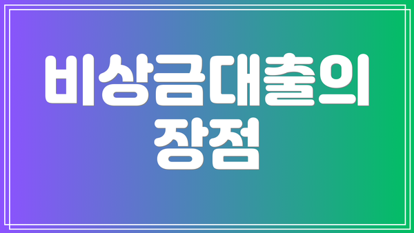 비상금대출의 장점