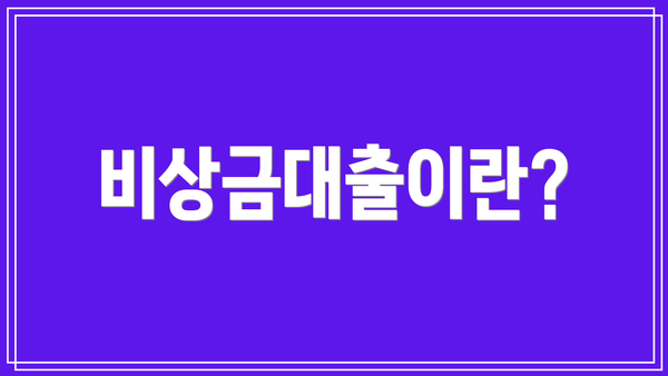 비상금대출이란?