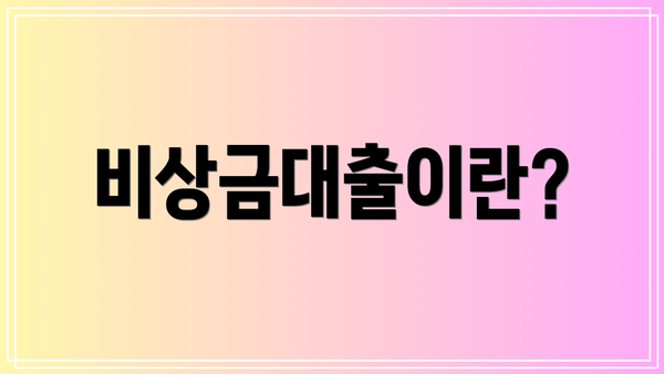 비상금대출이란?