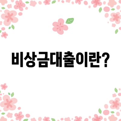 비상금대출이란?