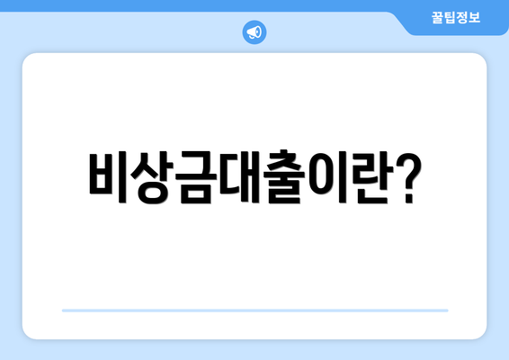 비상금대출이란?
