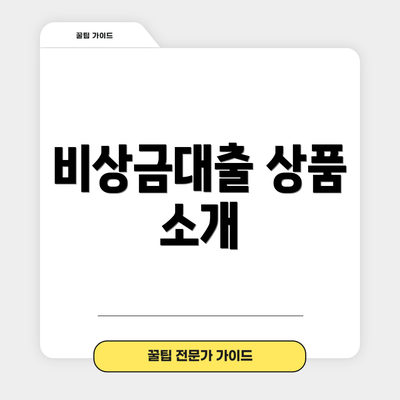 비상금대출 상품 소개