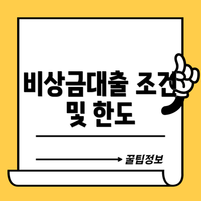 비상금대출 조건 및 한도