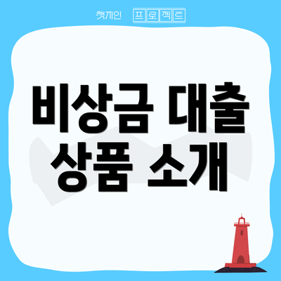 비상금 대출 상품 소개