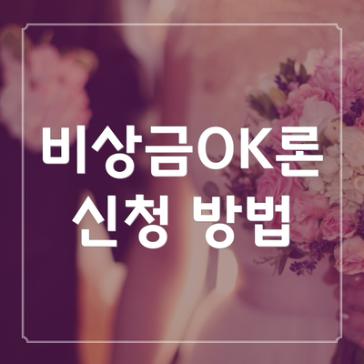 비상금OK론 신청 방법