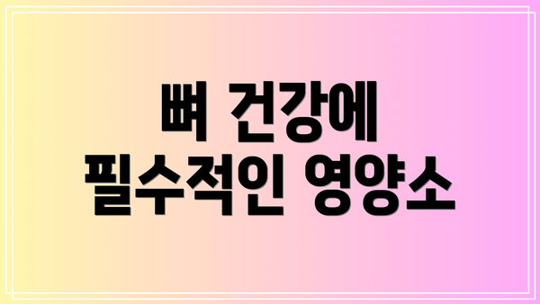 뼈 건강에 필수적인 영양소