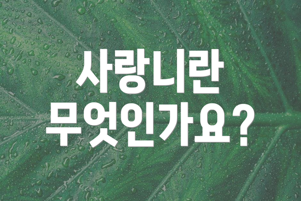 사랑니란 무엇인가요?