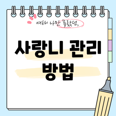 사랑니 관리 방법